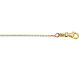 Gouden lengteketting 42 cm