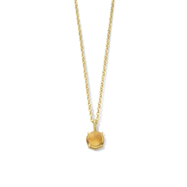 Gouden collier citrien