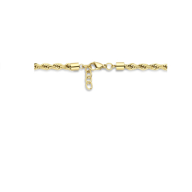 edelstalen collier: goud, koord