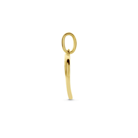 hanger hartjes en zirkonia