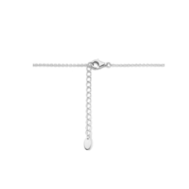 collier met twee  hartjes