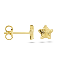 gouden oorknoppen: ster gediamanteerd