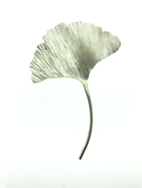 Ginkgo broche zilverkleur groot