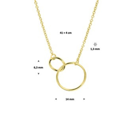 Goud op zilver collier 2 rondjes