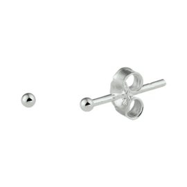 Zilveren oorstekers bol 2 mm