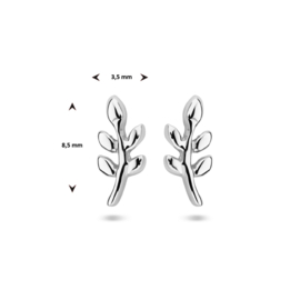 oorknoppen blad