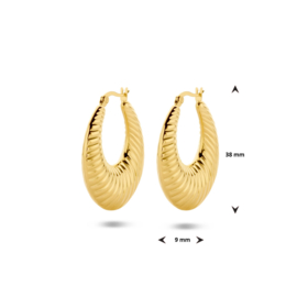 Edelstalen oorringen ion plating