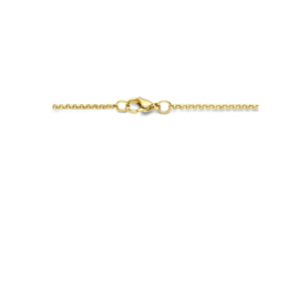 collier balkje goudkleur