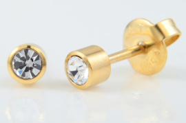 Titanium schietoorbellen 4 mm (MK)