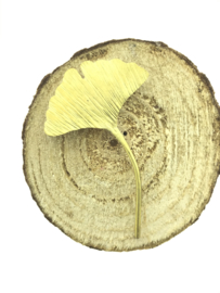 Ginkgo broche goudkleur klein