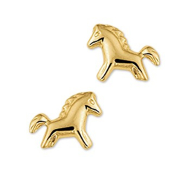 Gouden oorstekers pony