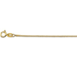 Gouden lengteketting gourmet 42 cm