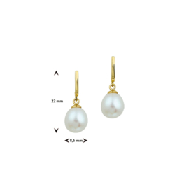 oorhangers parel 12 x 8,5 mm