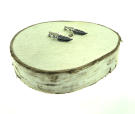 Zilver veertje