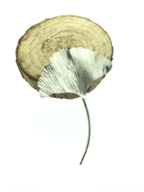 Ginkgo broche zilverkleur groot