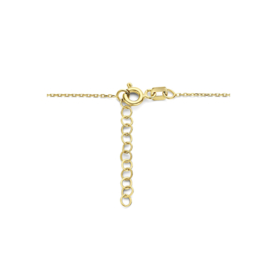 Gouden collier rondje infinity