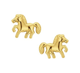 Gouden oorknopjes paardjes