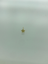 Gouden oorknopjes ster