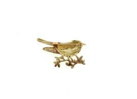 broche: vogeltje