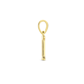 Gouden kettinghanger zirkonia I