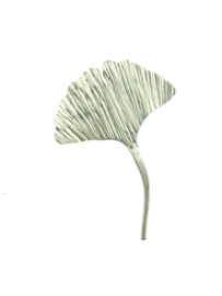 Ginkgo broche echt zilver klein