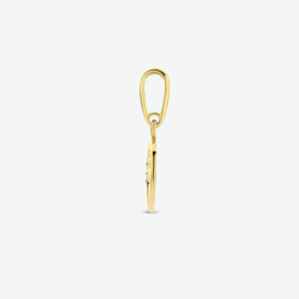 hanger levensboom