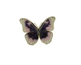 broche:vlinder