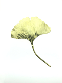 Ginkgo broche goudkleur groot