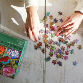 FLOWER POWER PUZZLE