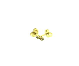 Edelstalen zweerknopjes met steen (ster) in goud-kleur 'klein'