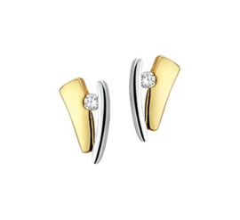 Gouden bicolor oorstekers met steen
