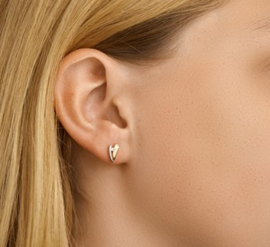 Gouden bicolor oorstekers met steen
