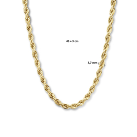 edelstalen collier: goud, koord