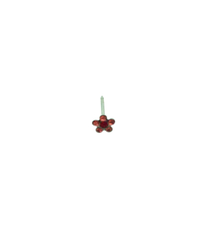 Zweerknopjes donkerroze bloem