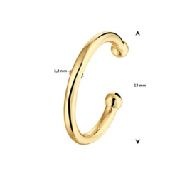 Vergulde Earcuff