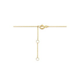 Gouden collier veertje