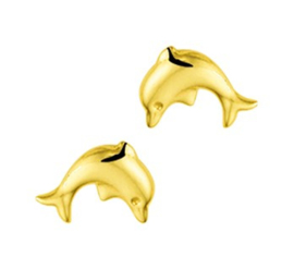 Gouden oorstekers dolfijn
