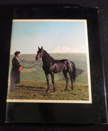 Groot paarden en ponyboek