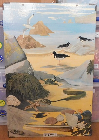 Schoolkaarten, Serie: Callograph Nature Wall Pictures