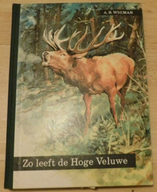 Zo leeft de Hoge Veluwe - Plaatjesalbum + extra plaatjes