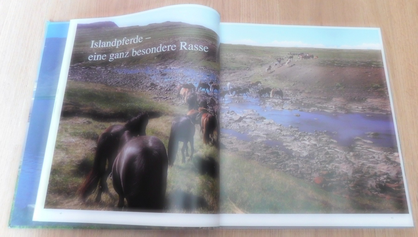 IJslanders Paardenboek: Islandpferde erleben und verstehen