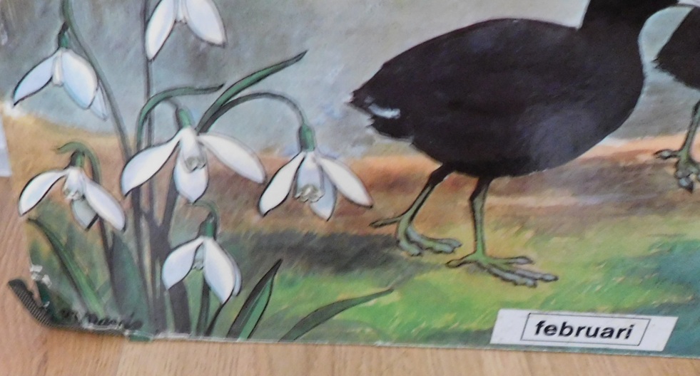Schoolkaarten, Serie: Callograph Nature Wall Pictures