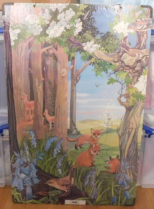 Schoolkaarten, Serie: Callograph Nature Wall Pictures