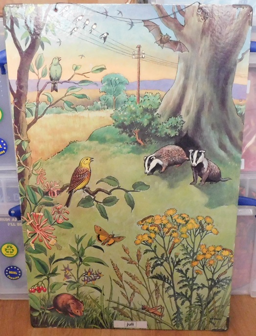 Schoolkaarten, Serie: Callograph Nature Wall Pictures