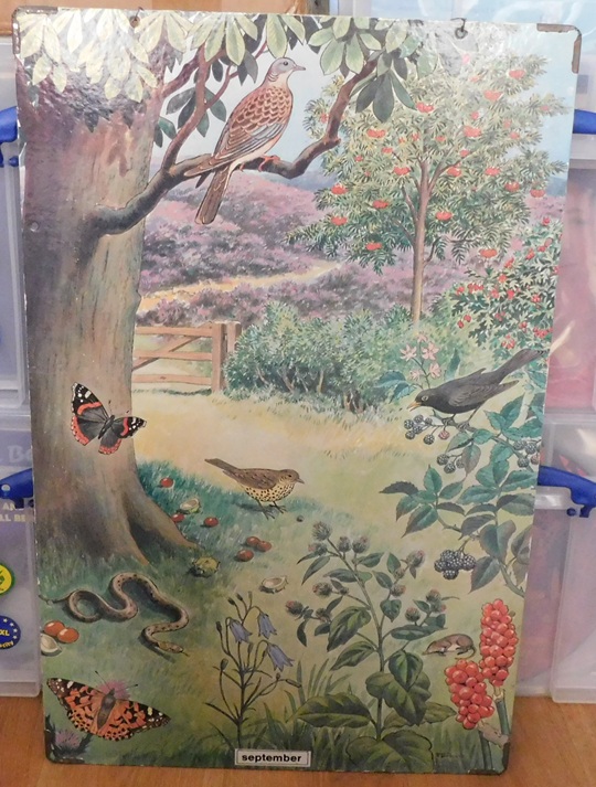 Schoolkaarten, Serie: Callograph Nature Wall Pictures