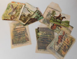 Zo leeft de Hoge Veluwe - Plaatjesalbum + extra plaatjes