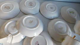 Diverse Engelse schotels + kopjes