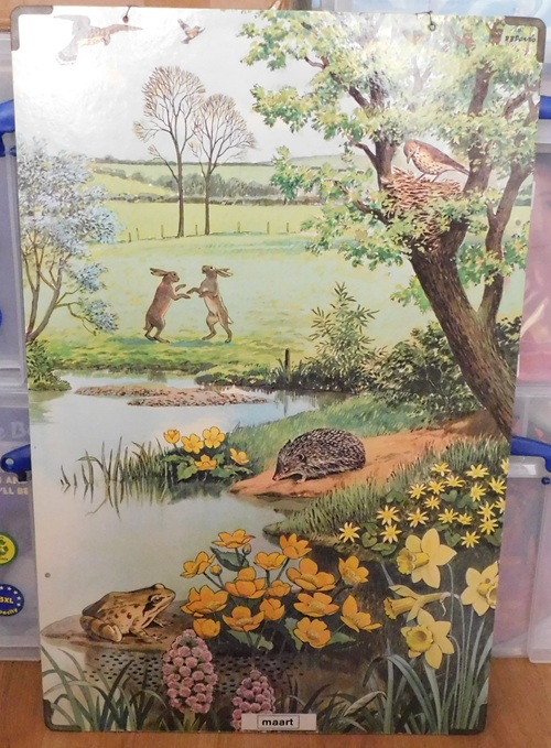 Schoolkaarten, Serie: Callograph Nature Wall Pictures