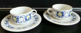 Villeroy & Boch 'Cadiz' kop & Schotel.