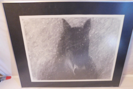 Afbeeldingen Friese Paarden, Hilda Snoeyer